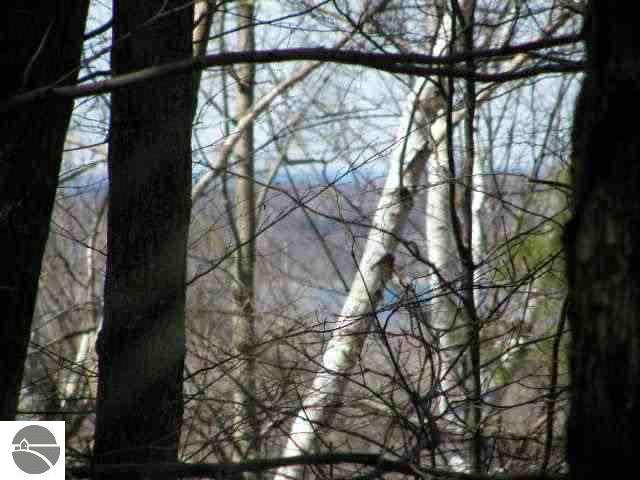 905 Lobb Road Frankfort, MI 49635 - Photo 2 of 9 1741195-1.JPG