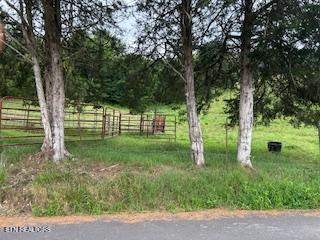 0 Trent Valley Road Sneedville, TN 37869 - Photo 14 of 14 pic1