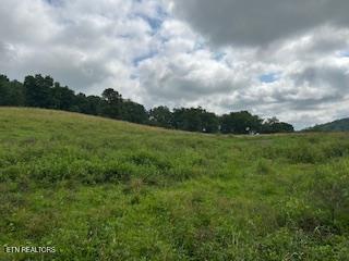 0 Trent Valley Road Sneedville, TN 37869 - Photo 7 of 14 pic8