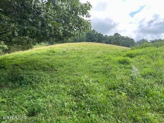 0 Trent Valley Road Sneedville, TN 37869 - Photo 9 of 14 pic6