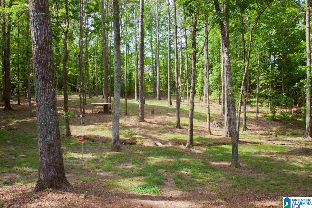 3528 Lake Front Trail Helena, AL 35022 - Photo 32 of 38