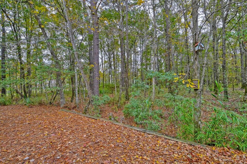 1616 Camfield Lane Mount Pleasant, SC 29466 - Photo 38 of 38 38