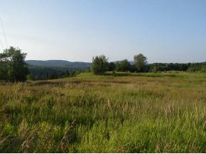 387 Crossover Road Brookfield, VT 05036 - Photo 3 of 6