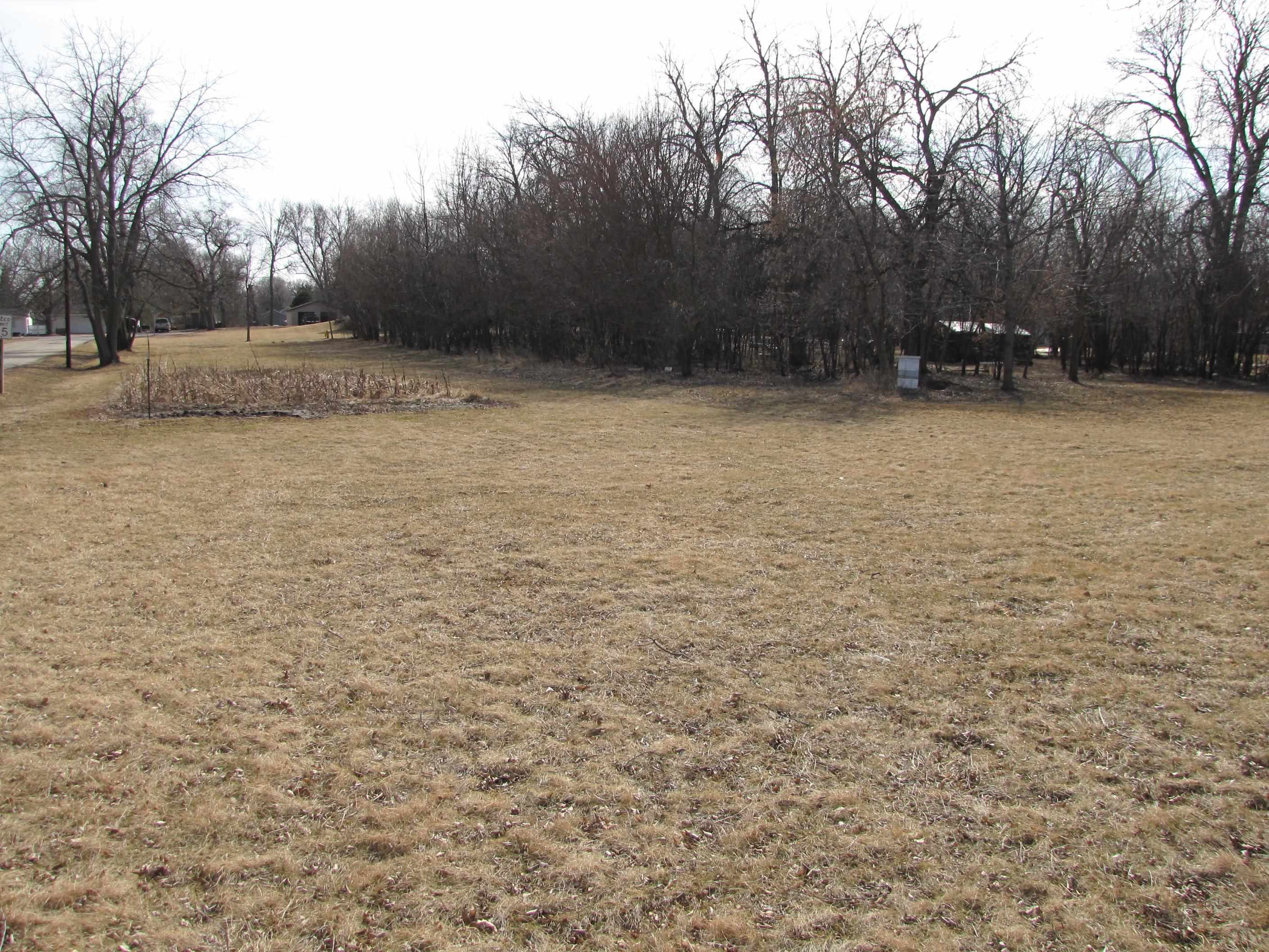 Lot 3 North Elm Edgerton, WI 53534 - Photo 5 of 12