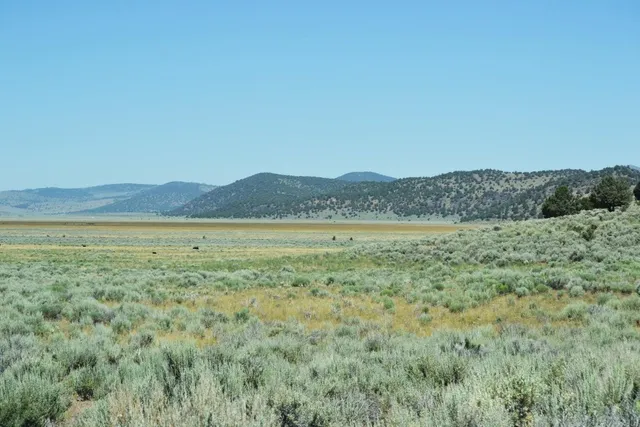 $739,000 | 523-400 South Grasshopper Road, Termo, CA 96132