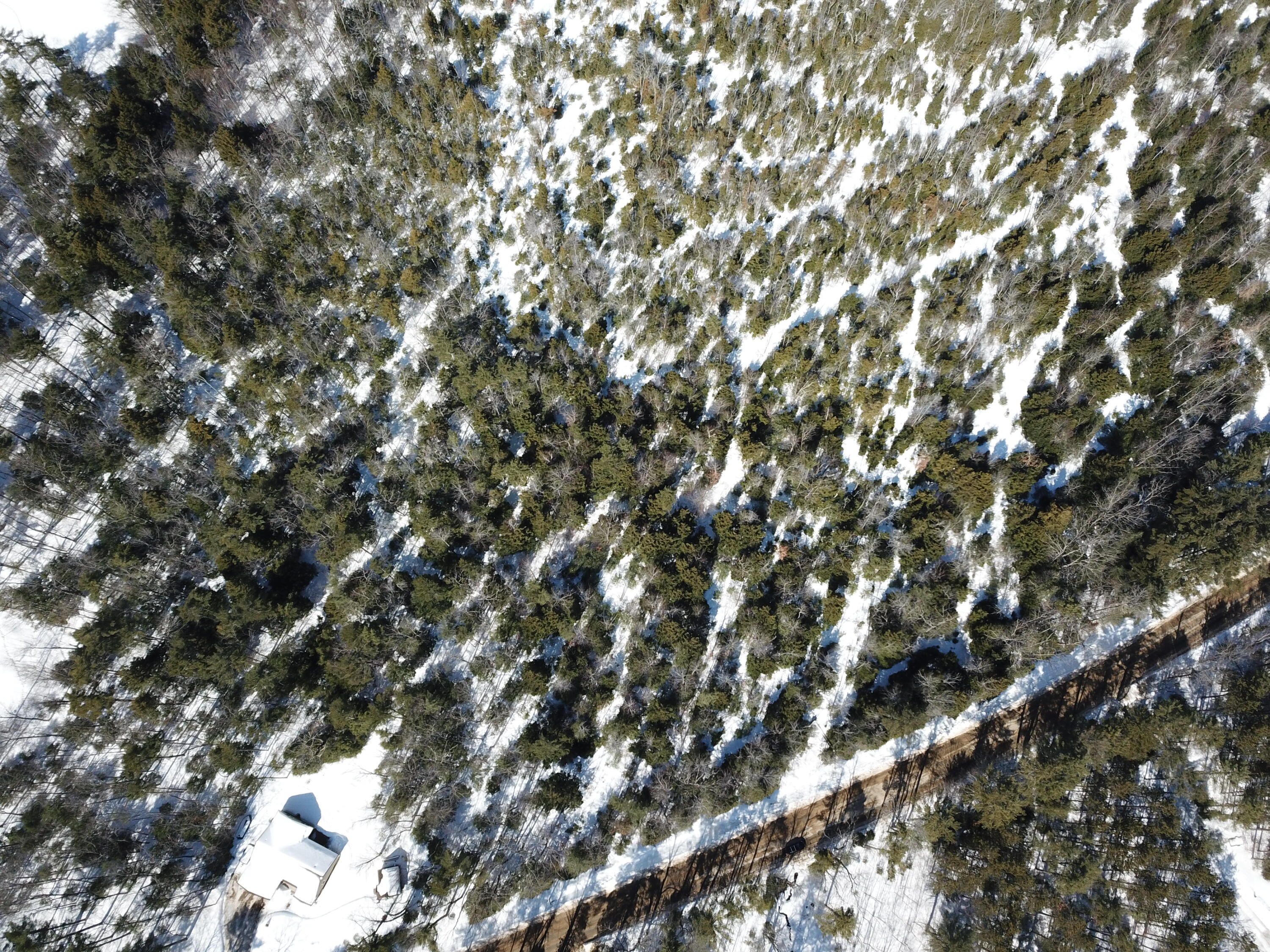 Tbd Scribner Hill Road Otisfield, ME 04270 - Photo 3 of 13 Areial
