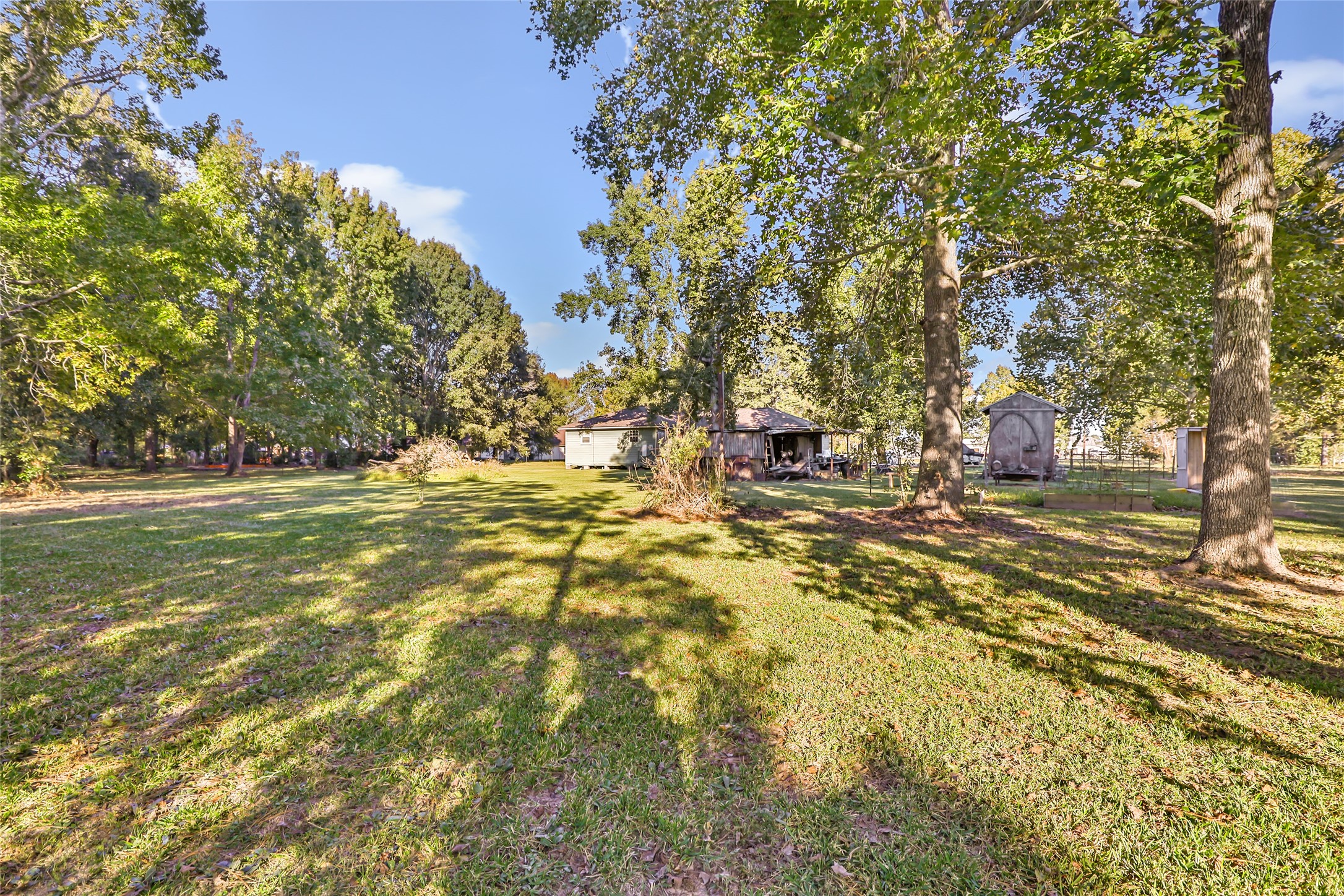 97 County Road 2268 Cleveland, TX 77327 - Photo 30 of 36 a view of yard with green space