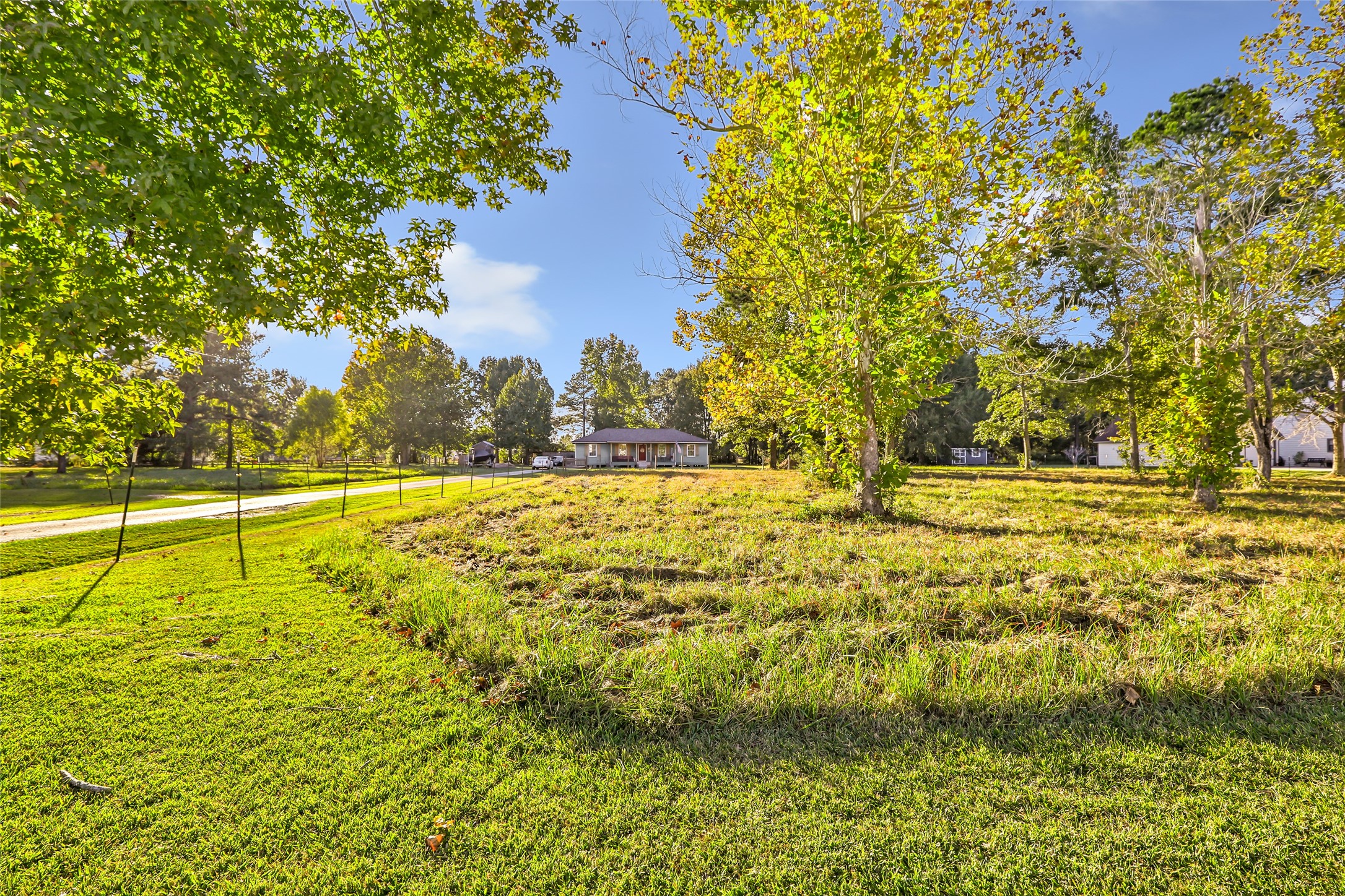 97 County Road 2268 Cleveland, TX 77327 - Photo 31 of 36 a view of yard with swimming pool and trees in the background