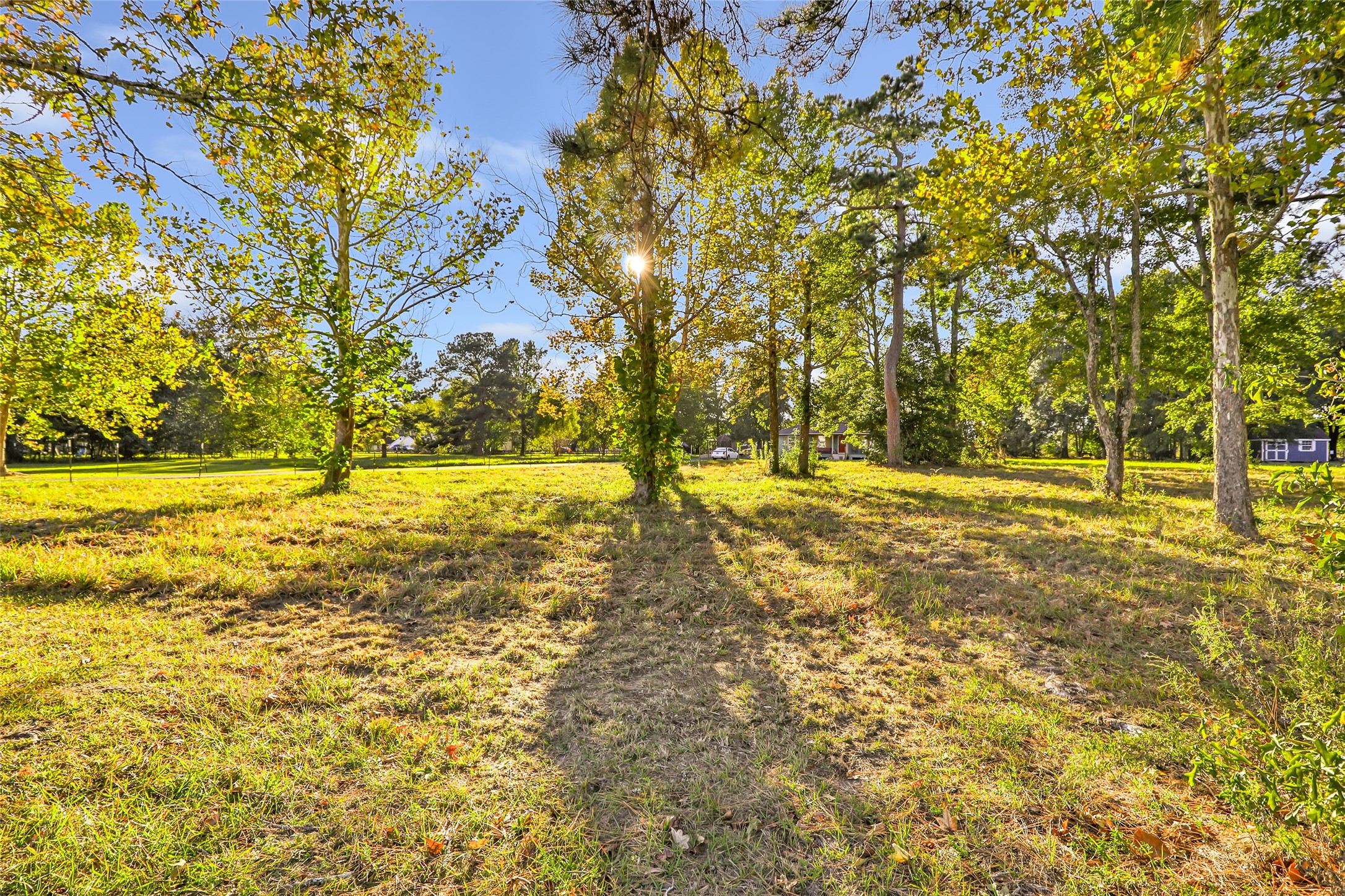 97 County Road 2268 Cleveland, TX 77327 - Photo 32 of 36 a view of yard with swimming pool and green space