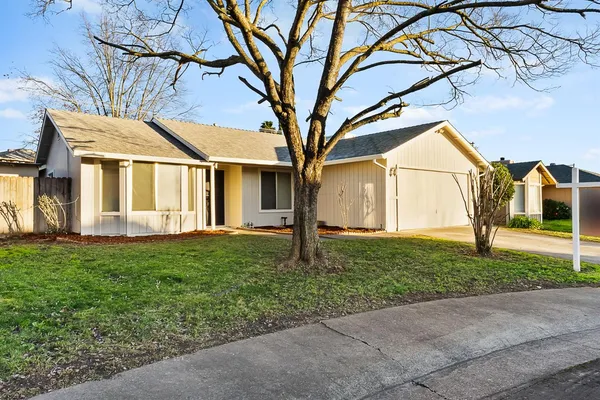 a house that has a tree in front of it