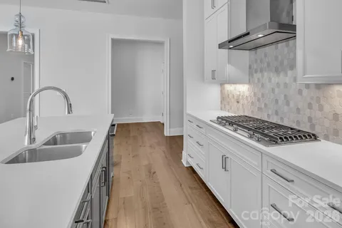 a kitchen with sink a stove and refrigerator