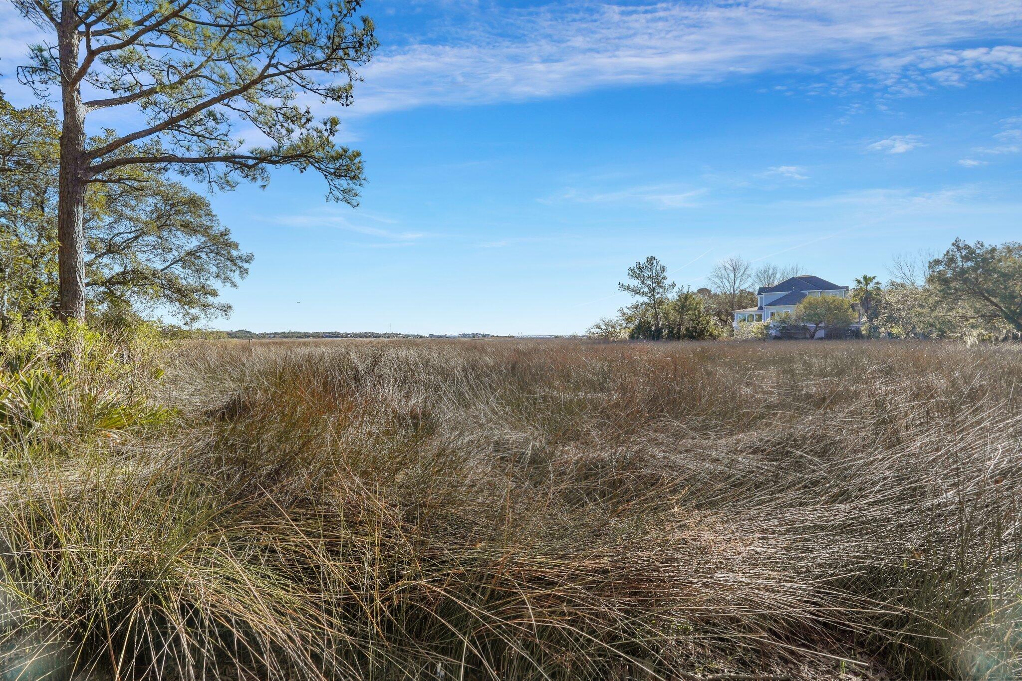 2363 Rice Pond Road Charleston, SC 29414 - Photo 62 of 75 112-web-or-mls-DSC03577