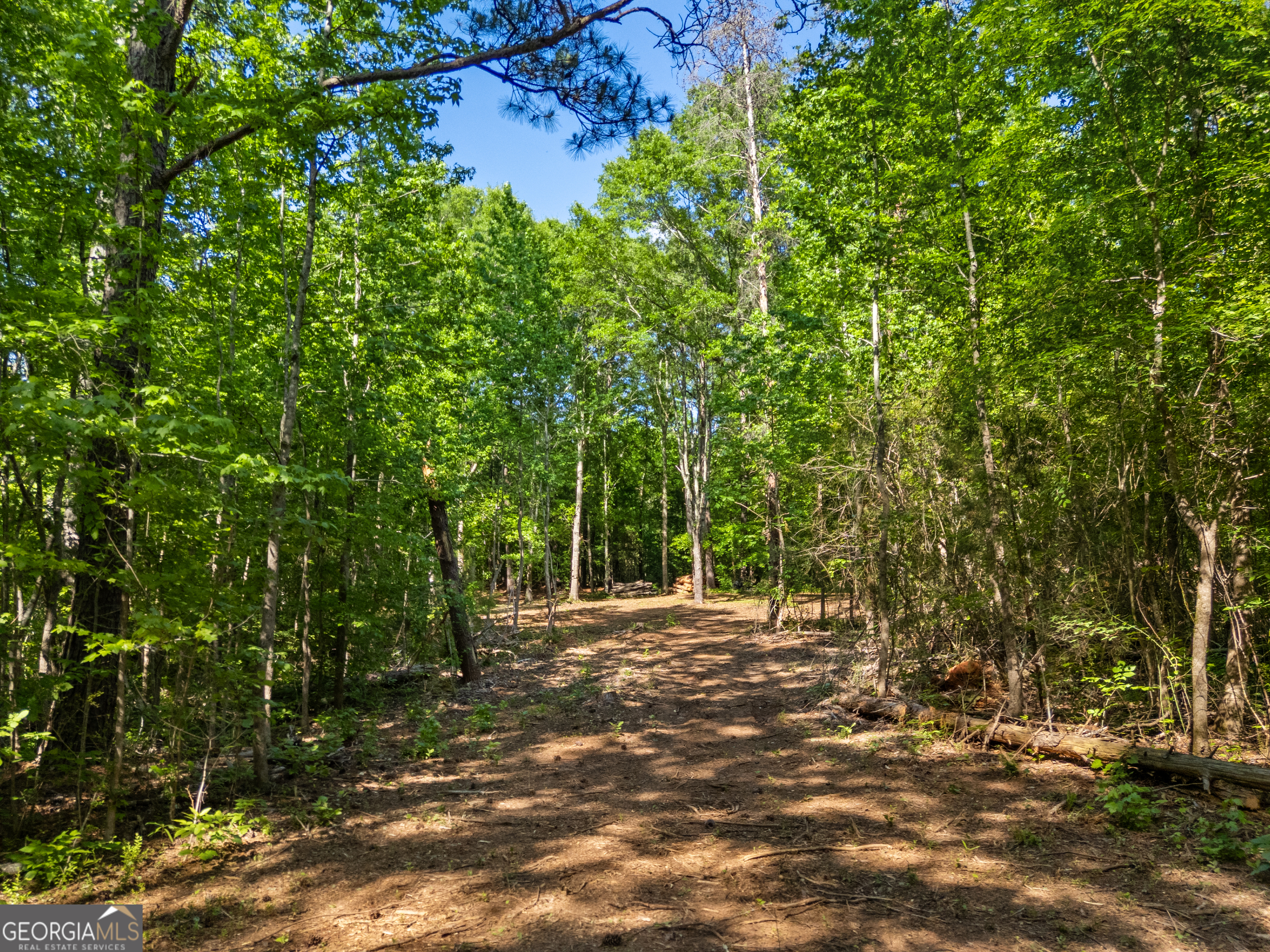 0 Oak Road Jenkinsburg, GA 30234 - Photo 13 of 18 Gallery Image 13