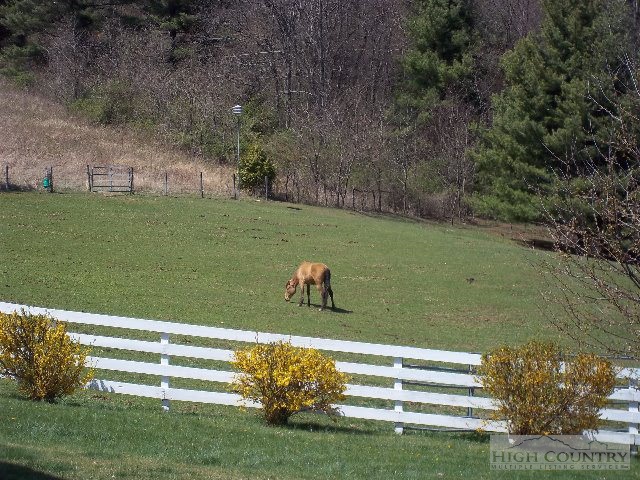 113 Chestnut Grove Church Road Sparta, NC 28675 - Photo 11 of 24 Gallery Image 11
