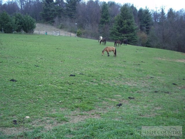 113 Chestnut Grove Church Road Sparta, NC 28675 - Photo 14 of 24 Gallery Image 14