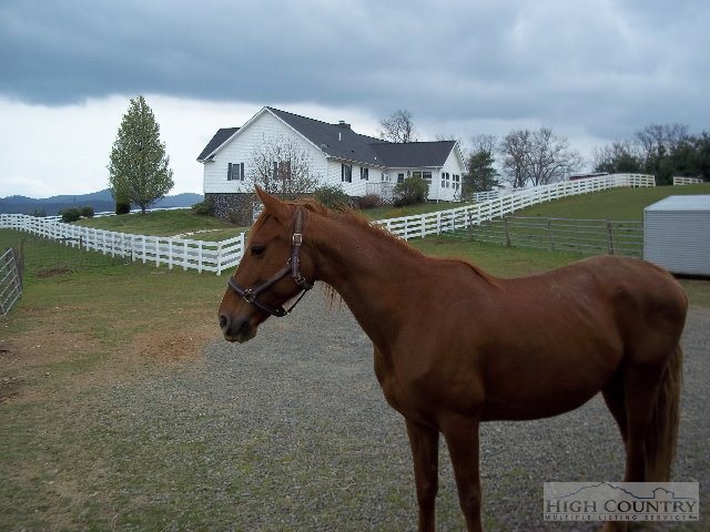 113 Chestnut Grove Church Road Sparta, NC 28675 - Photo 23 of 24 Gallery Image 23