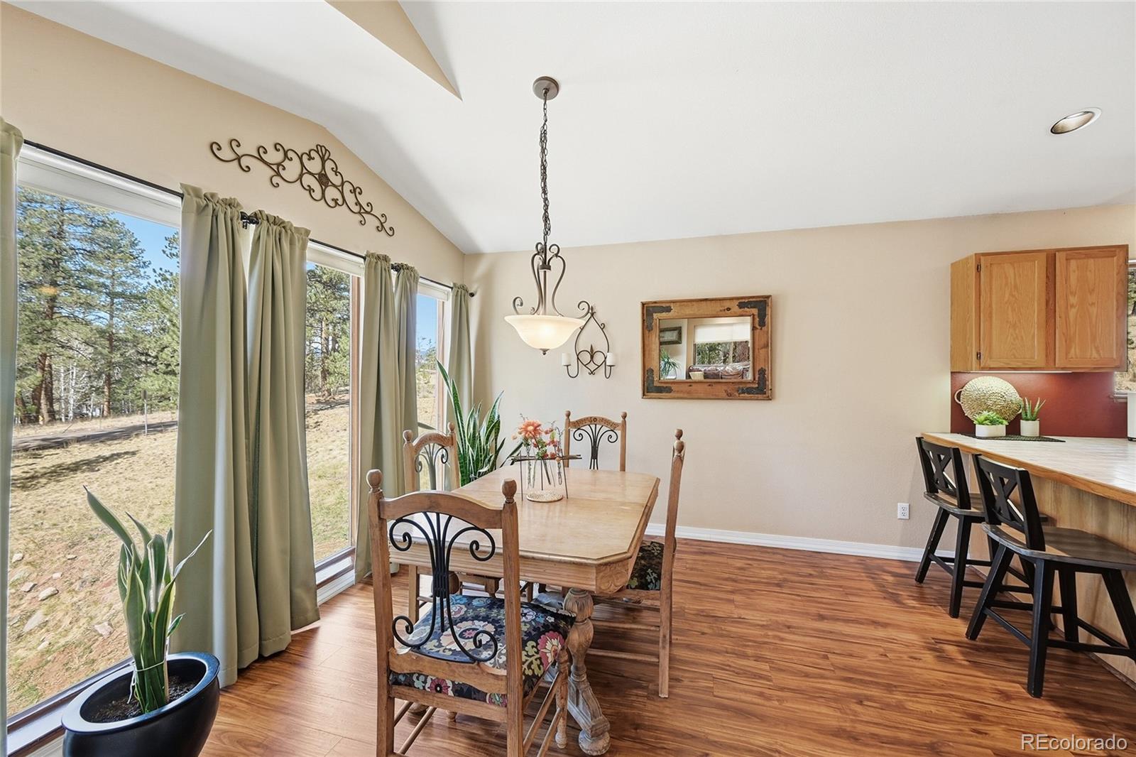 13712 South Wamblee Valley Road Conifer, CO 80433 - Photo 3 of 15