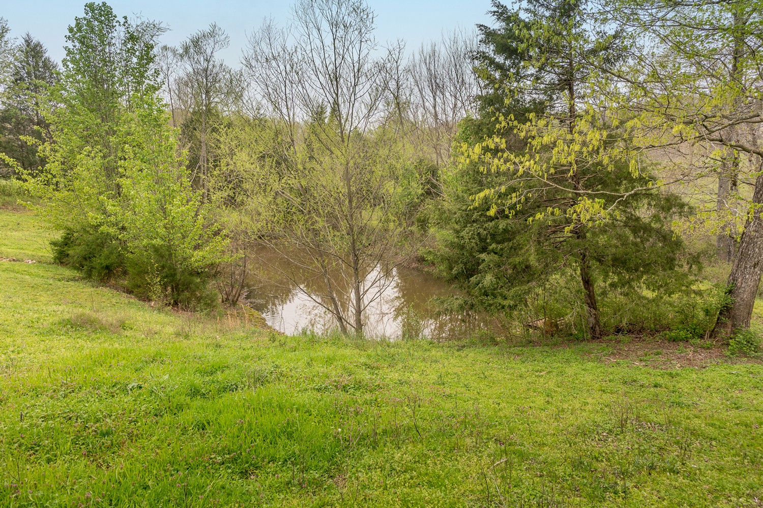 1755 Rock Church Road Dickson, TN 37055 - Photo 39 of 46 Gallery Image 39