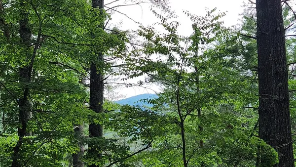 $575,000 | 38-ac Tumbling Creek Road, Copperhill, TN 37317