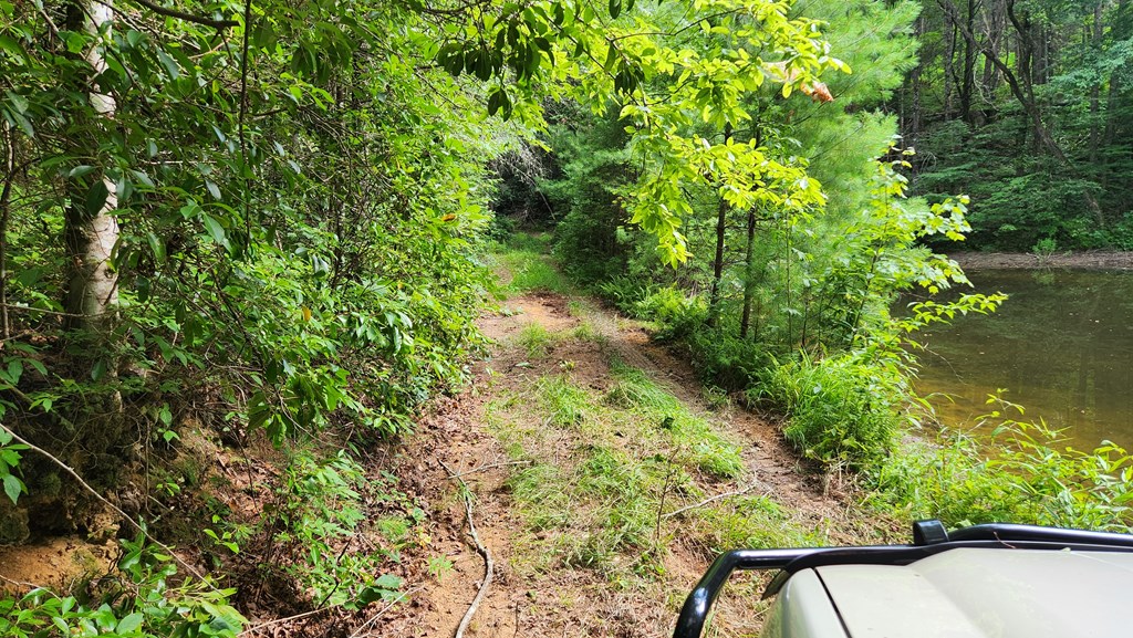 38-ac Tumbling Creek Road Copperhill, TN 37317 - Photo 13 of 65 a view of a yard with plants and wooden fence