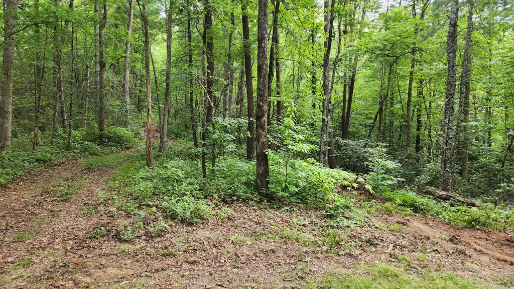38-ac Tumbling Creek Road Copperhill, TN 37317 - Photo 22 of 65 a view of outdoor space and green space