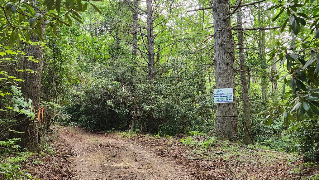38-ac Tumbling Creek Road Copperhill, TN 37317 - Photo 25 of 65 a view of a yard with plants and large trees