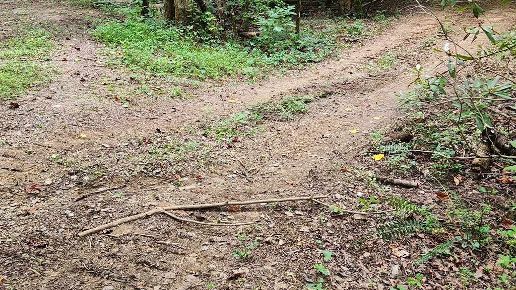 38-ac Tumbling Creek Road Copperhill, TN 37317 - Photo 34 of 65 a view of a dry yard