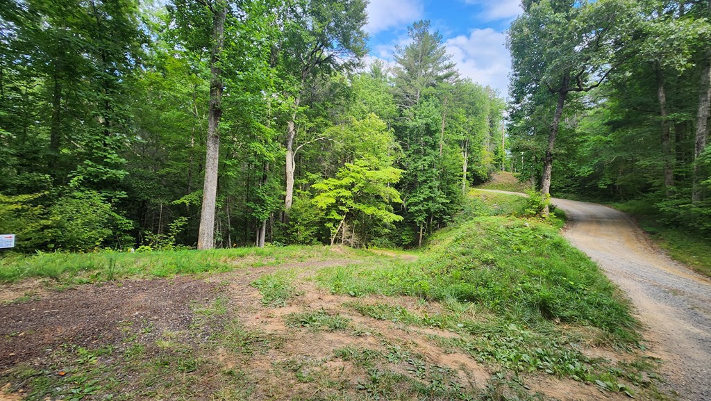 38-ac Tumbling Creek Road Copperhill, TN 37317 - Photo 35 of 65 a view of a lush green forest