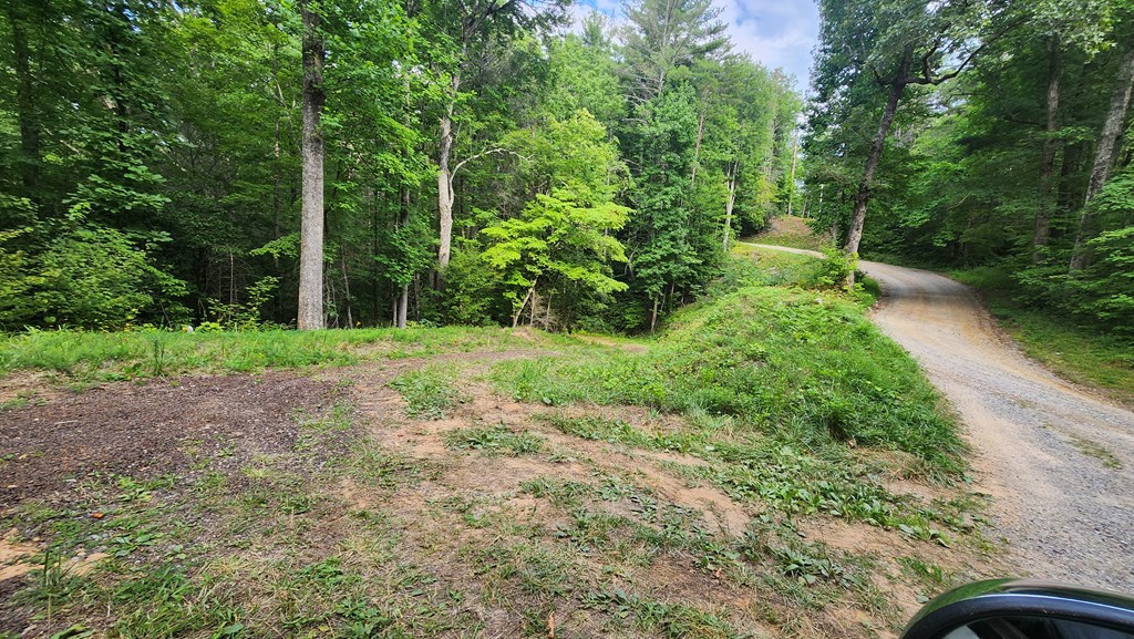 38-ac Tumbling Creek Road Copperhill, TN 37317 - Photo 36 of 65 a view of a yard with plants