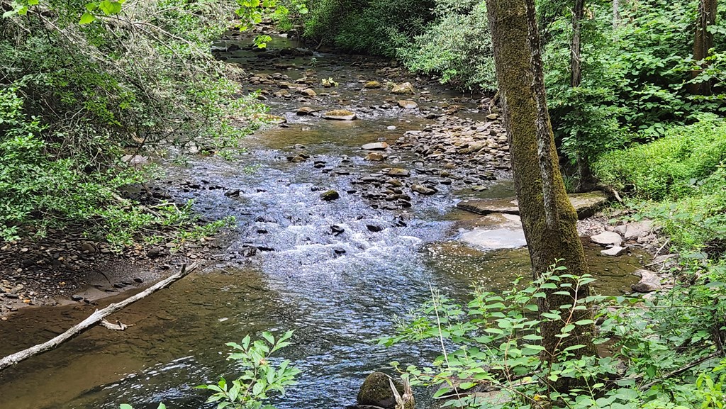 38-ac Tumbling Creek Road Copperhill, TN 37317 - Photo 39 of 65 a view of a yard with plants and large trees