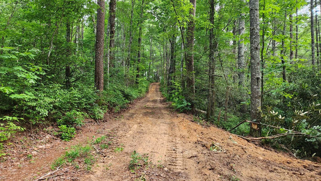 38-ac Tumbling Creek Road Copperhill, TN 37317 - Photo 4 of 65 a view of a pathway both side of yard