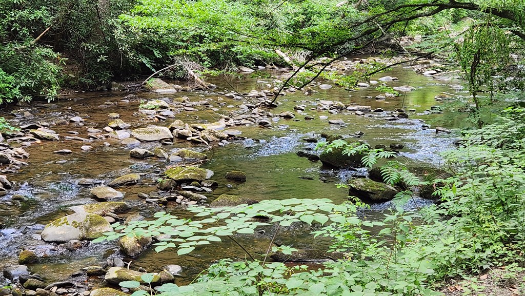 38-ac Tumbling Creek Road Copperhill, TN 37317 - Photo 41 of 65 a view of a tree with a tree