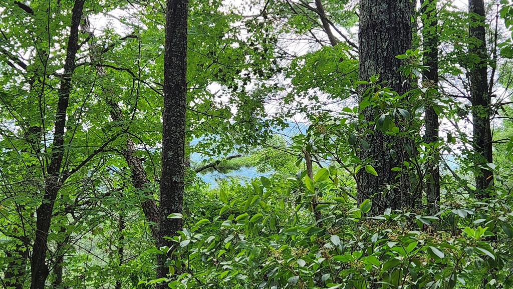 38-ac Tumbling Creek Road Copperhill, TN 37317 - Photo 46 of 65 a view of a lush green forest