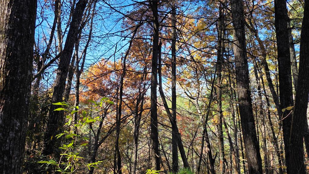 38-ac Tumbling Creek Road Copperhill, TN 37317 - Photo 47 of 65