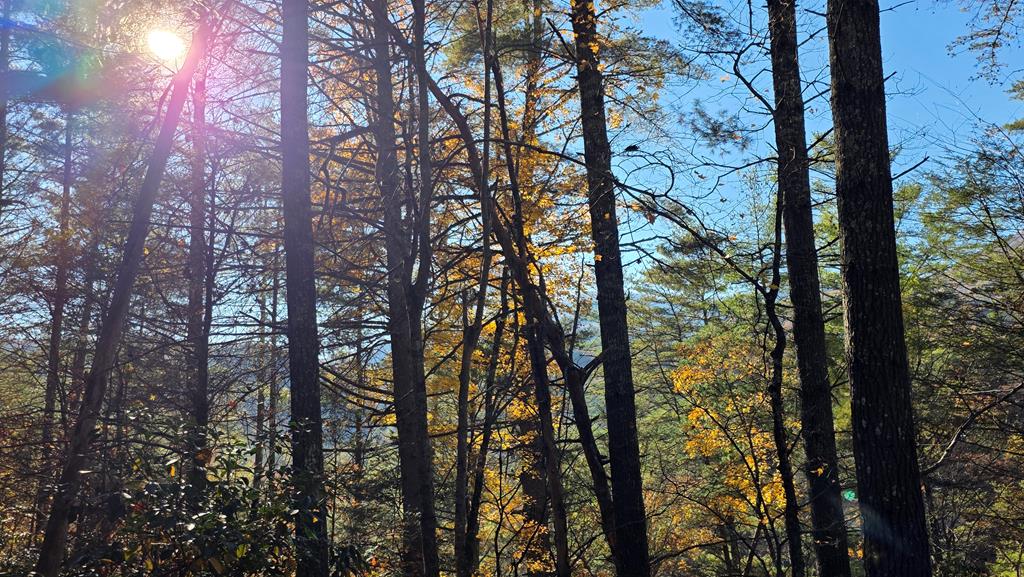 38-ac Tumbling Creek Road Copperhill, TN 37317 - Photo 53 of 65