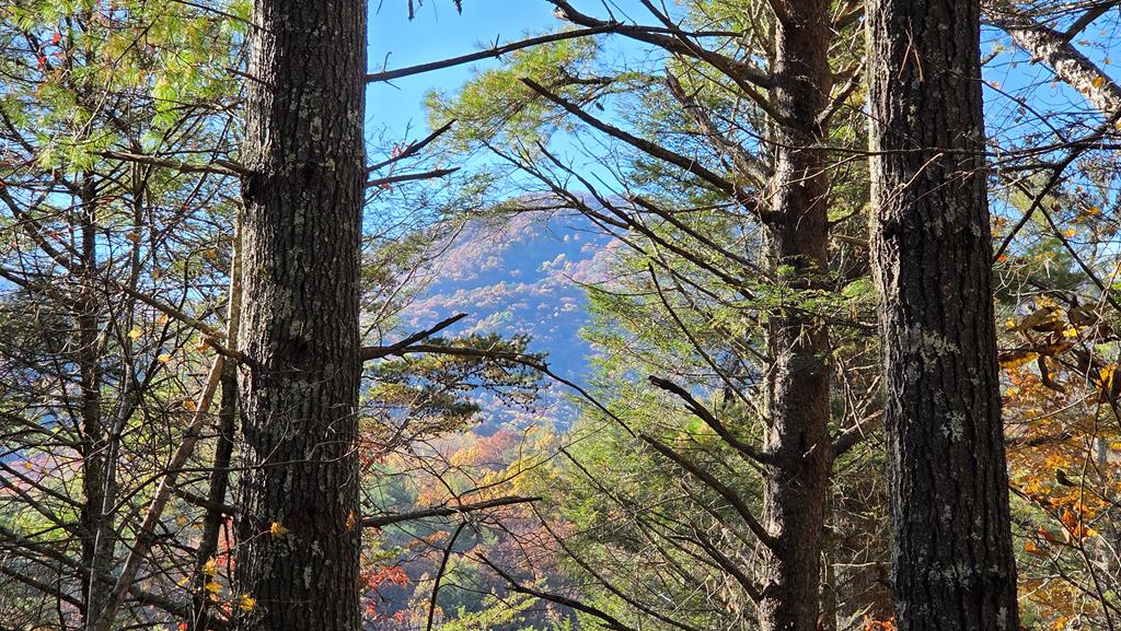 38-ac Tumbling Creek Road Copperhill, TN 37317 - Photo 54 of 65