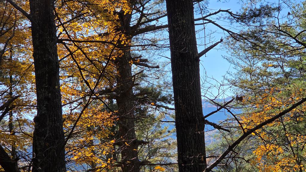 38-ac Tumbling Creek Road Copperhill, TN 37317 - Photo 55 of 65