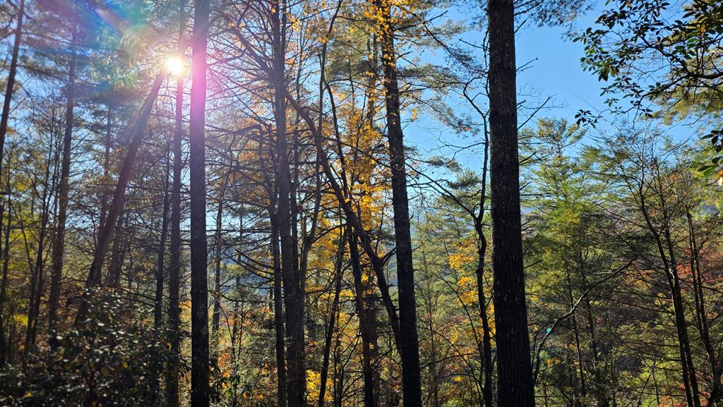 38-ac Tumbling Creek Road Copperhill, TN 37317 - Photo 56 of 65