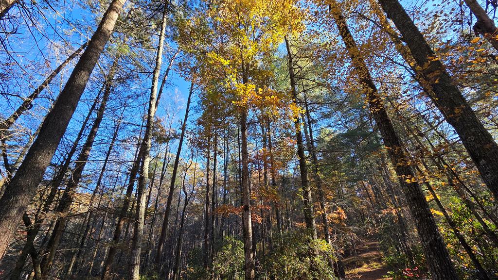 38-ac Tumbling Creek Road Copperhill, TN 37317 - Photo 57 of 65