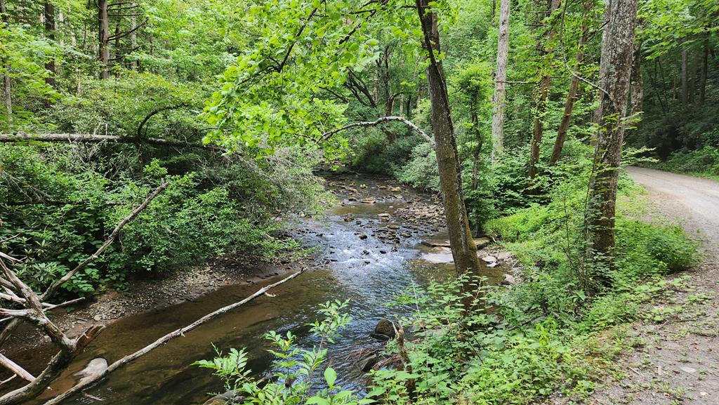38-ac Tumbling Creek Road Copperhill, TN 37317 - Photo 60 of 65 Pond