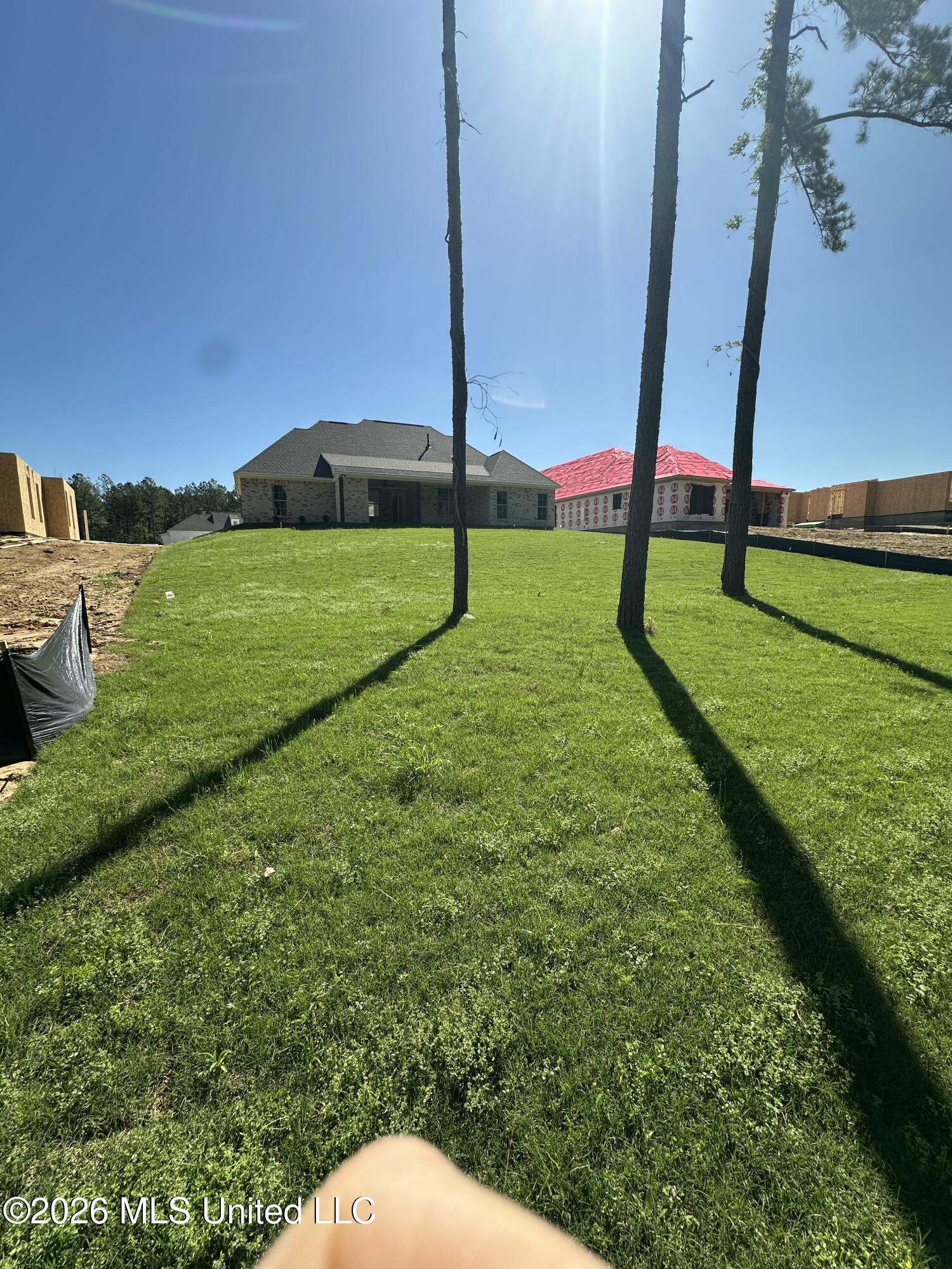 815 Thornberry Ridge Madison, MS 39110 - Photo 43 of 43 IMG_5204