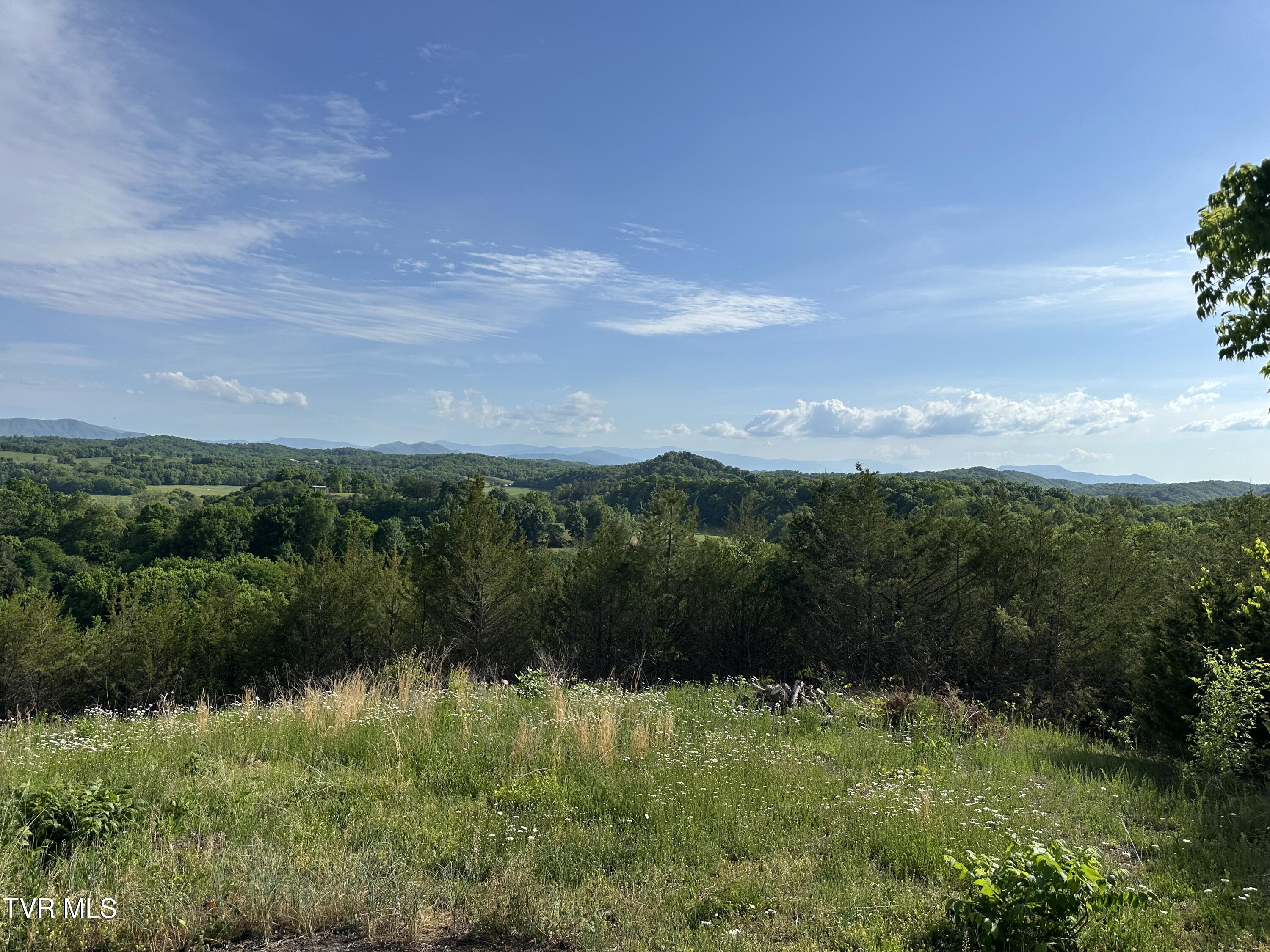 1355 Jackson Hollow Road Mosheim, TN 37818 - Photo 84 of 95 IMG_8055