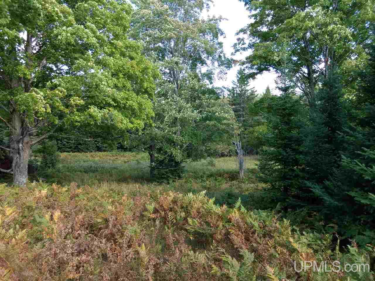 13335 Cadeau Road Baraga, MI 49908 - Photo 8 of 24 Gallery Image 8