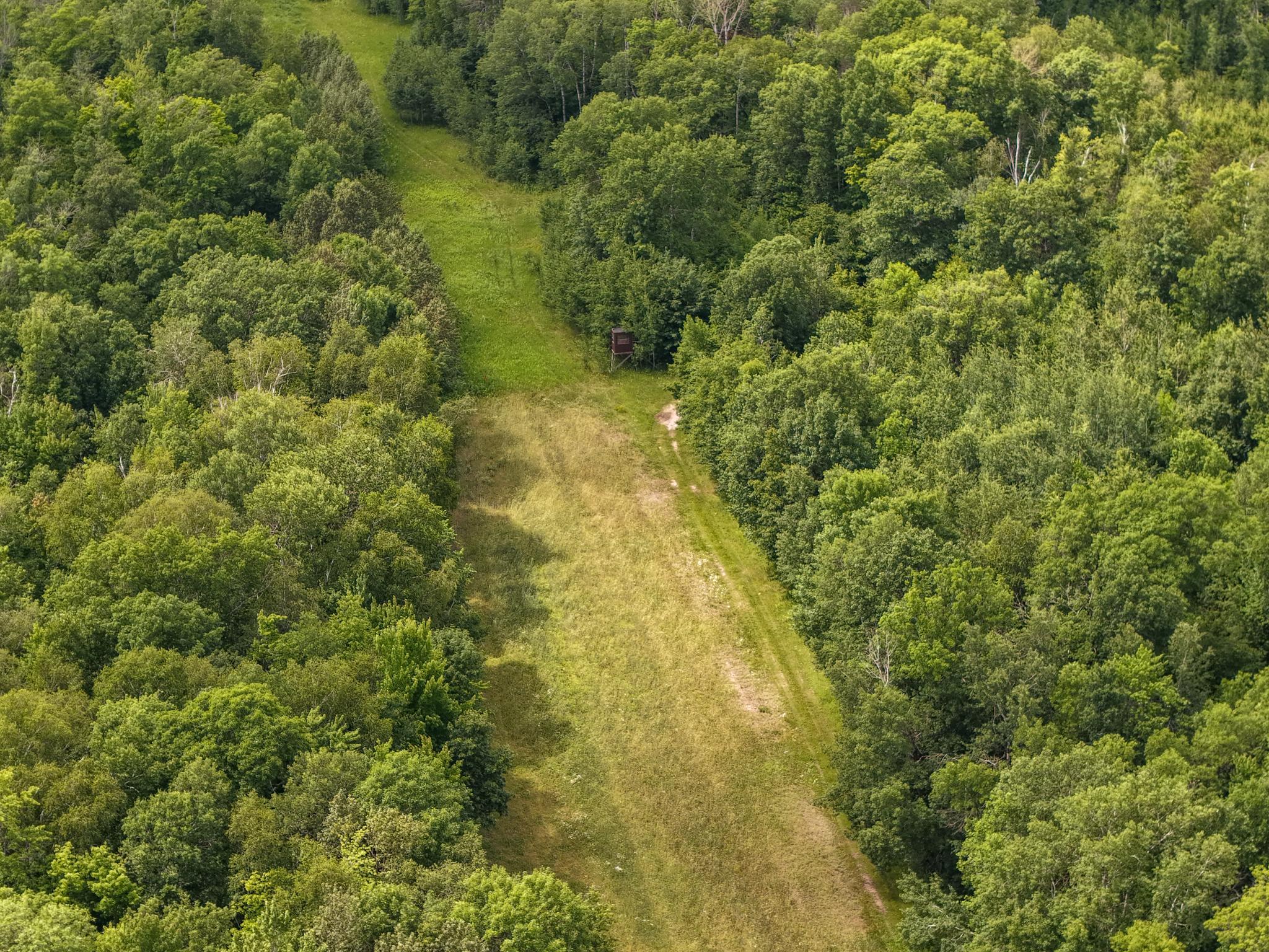80-acres Pike Bay Loop Road Northwest Cass Lake, MN 56633 - Photo 13 of 27