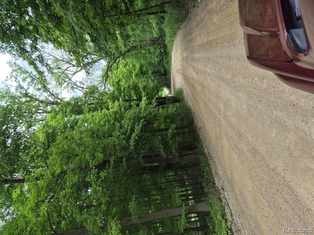 18073 Sharon Valley Road Manchester, MI 48158 - Photo 22 of 22