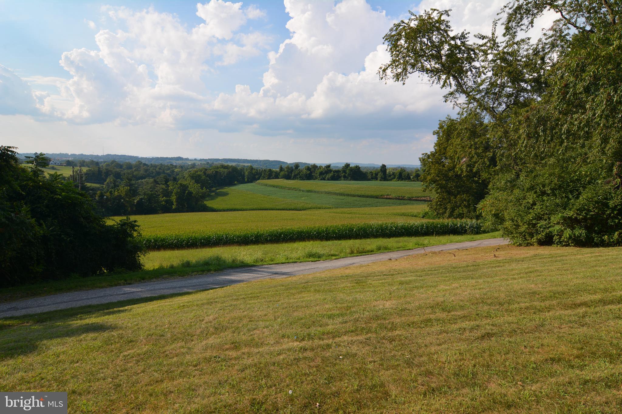 2646 Forest Road York, PA 17402 - Photo 11 of 53 Gallery Image 11