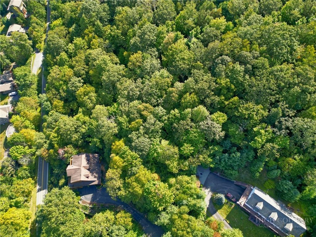 Highland Lakes Road Blowing Rock, NC 28605 - Photo 5 of 15