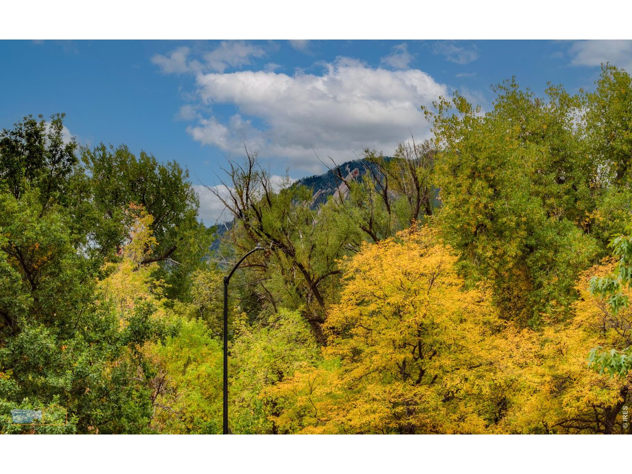854 Walnut Street, Unit D Boulder, CO 80302 - Photo 28 of 40 View from Balcony