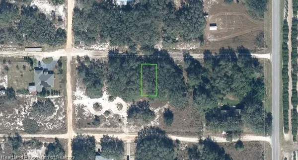 a view of a lot of trees