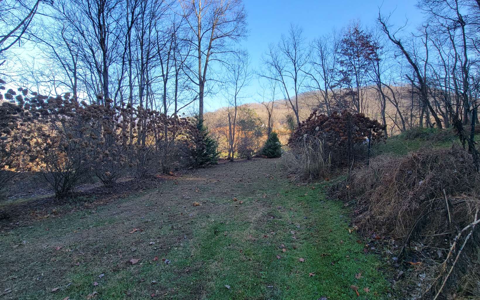 130 Hot House Road Hayesville, NC 28904 - Photo 25 of 30 Additional View